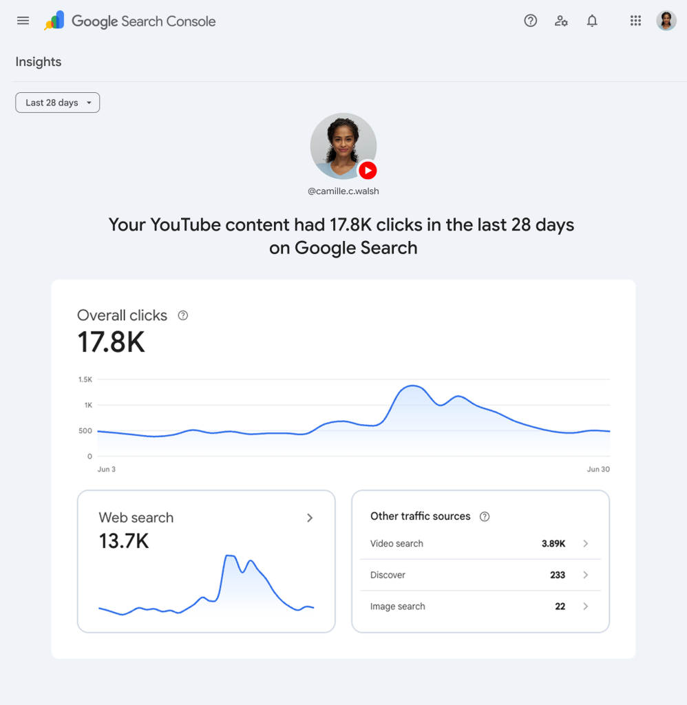 Cosa puoi monitorare dalla Search Console